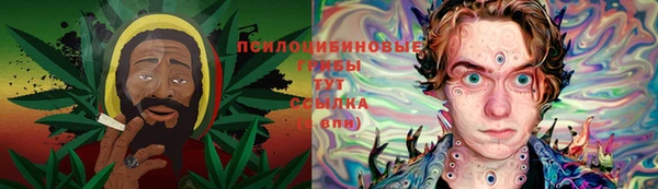 метадон Алексин