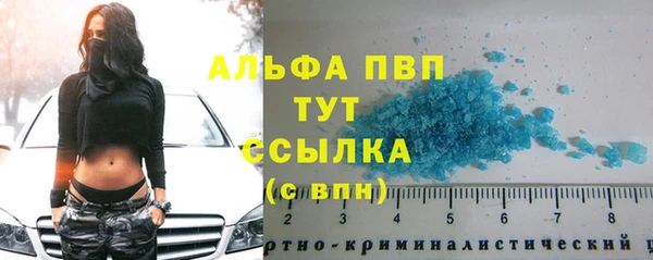 мяу мяу мука Алзамай