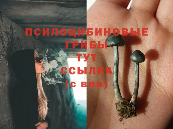 мяу мяу мука Алзамай