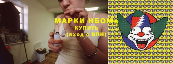 метадон Алексин