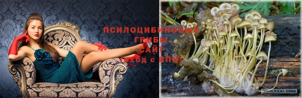 каннабис Алексеевка
